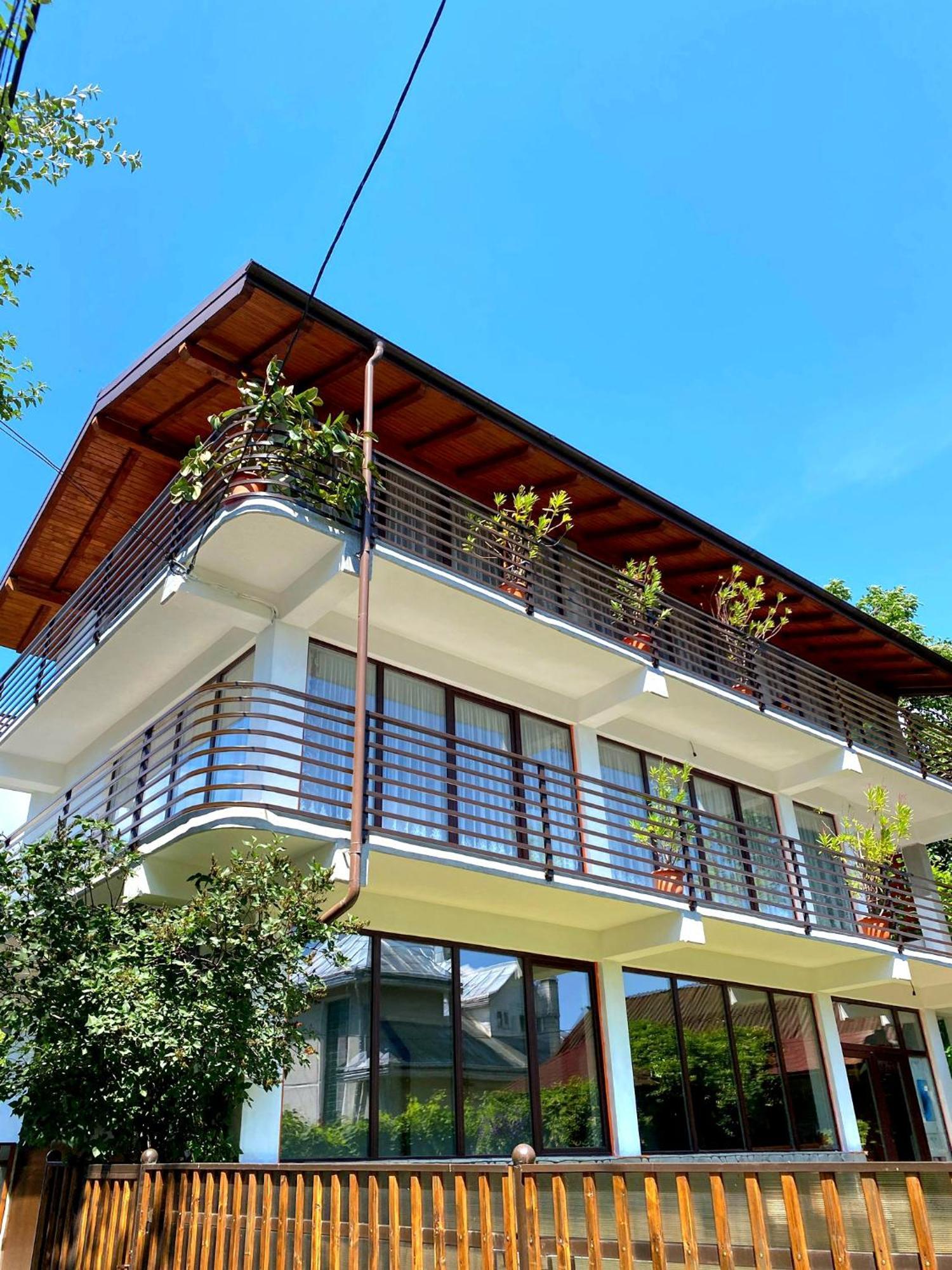 فندق Casa Ionut Borşa المظهر الخارجي الصورة